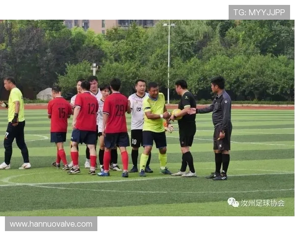 上海足球队运营分析：成功与挑战并存的背后故事